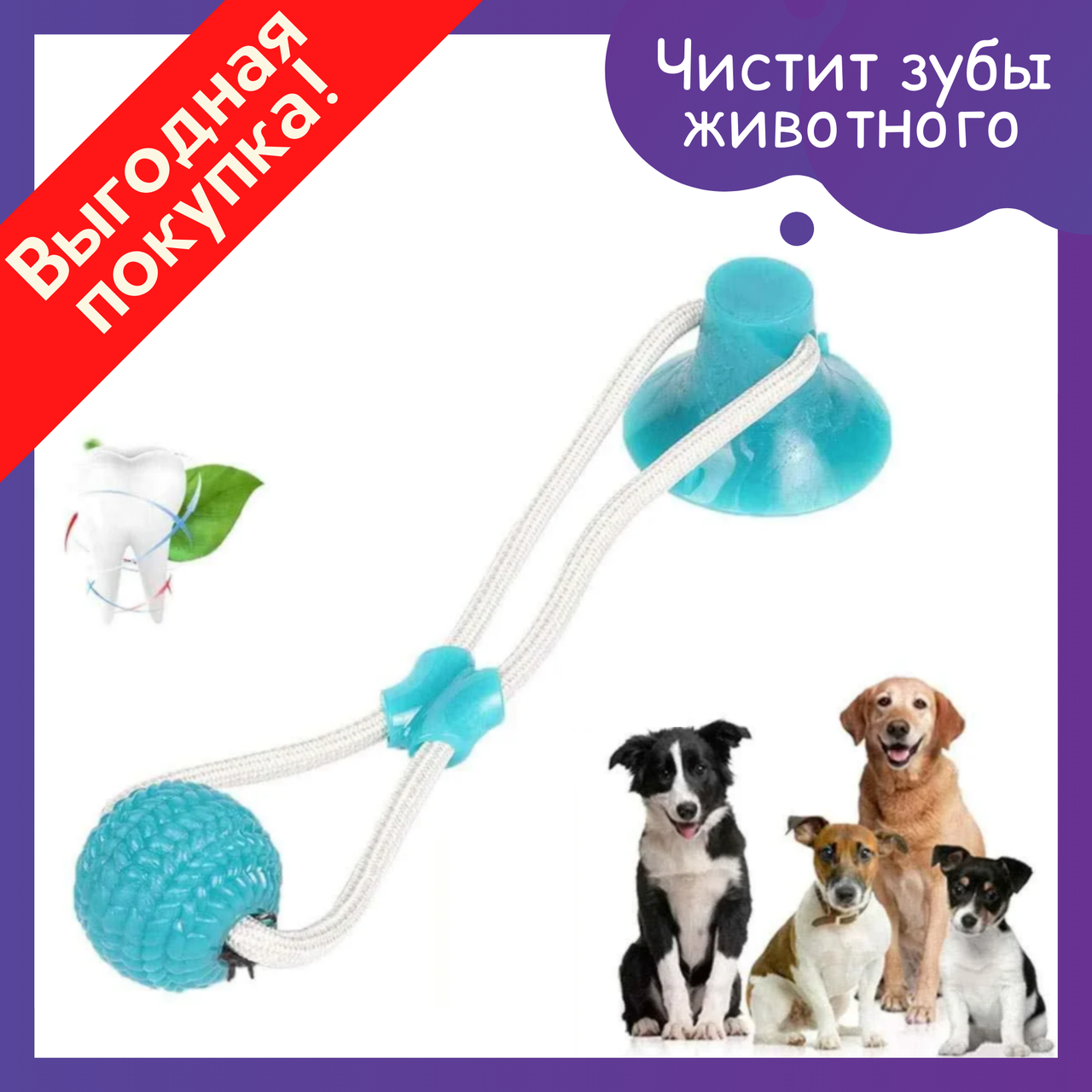 

Мяч на веревке с присоской для чистки зубов собаки / Игрушка для собаки / Собачки / Питомца