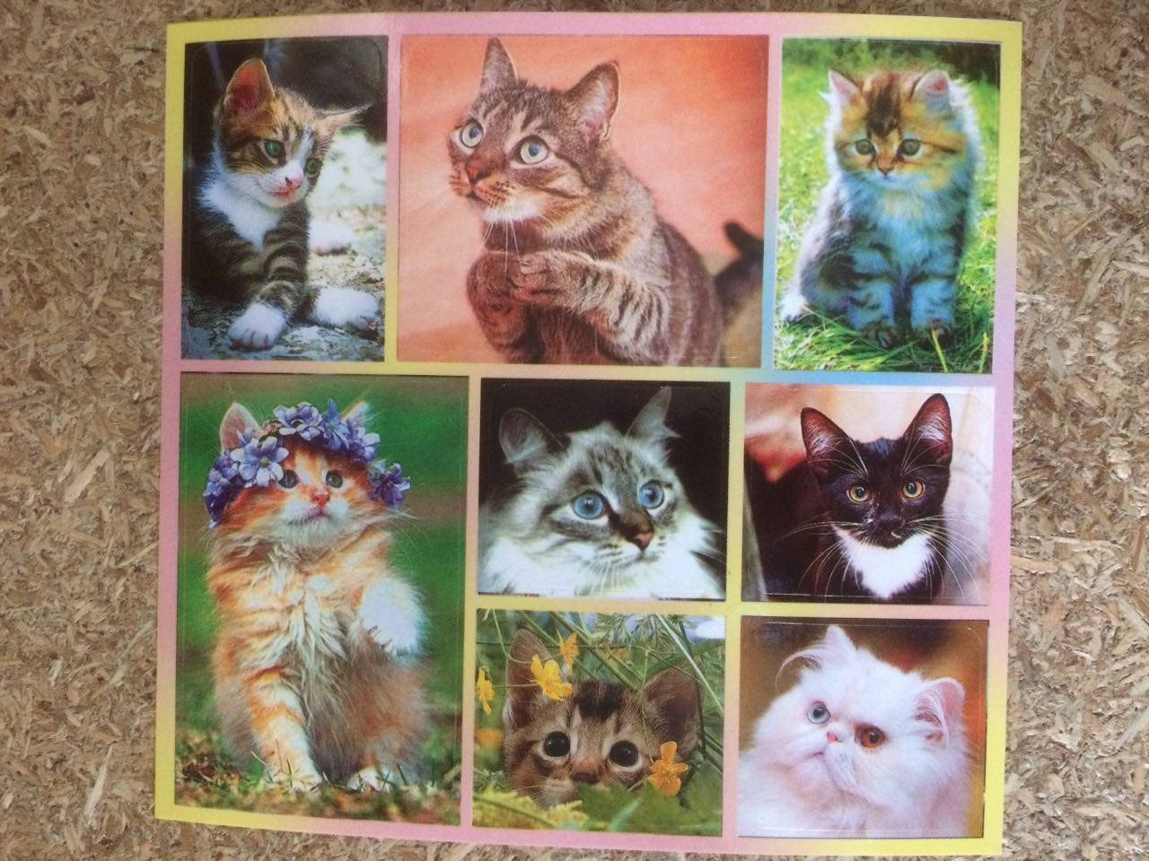 

Налiпки коти