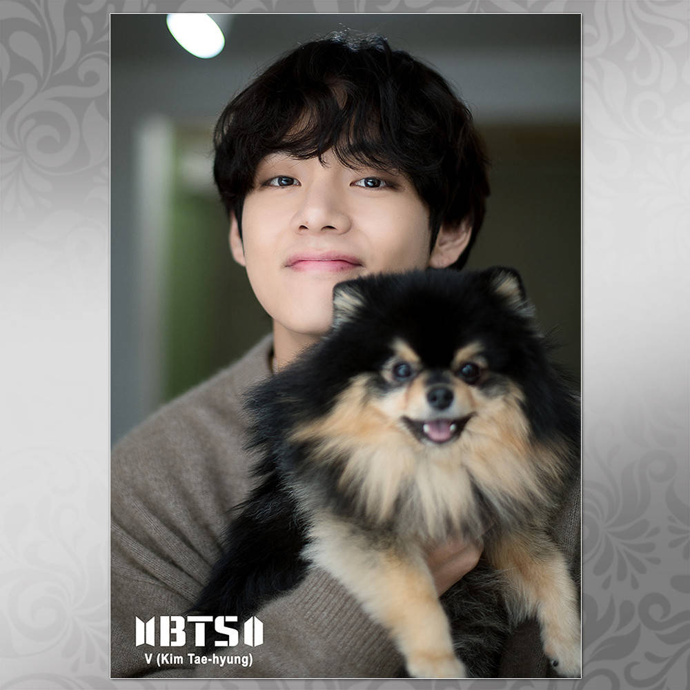 

Плакат K-Pop BTS 526 V