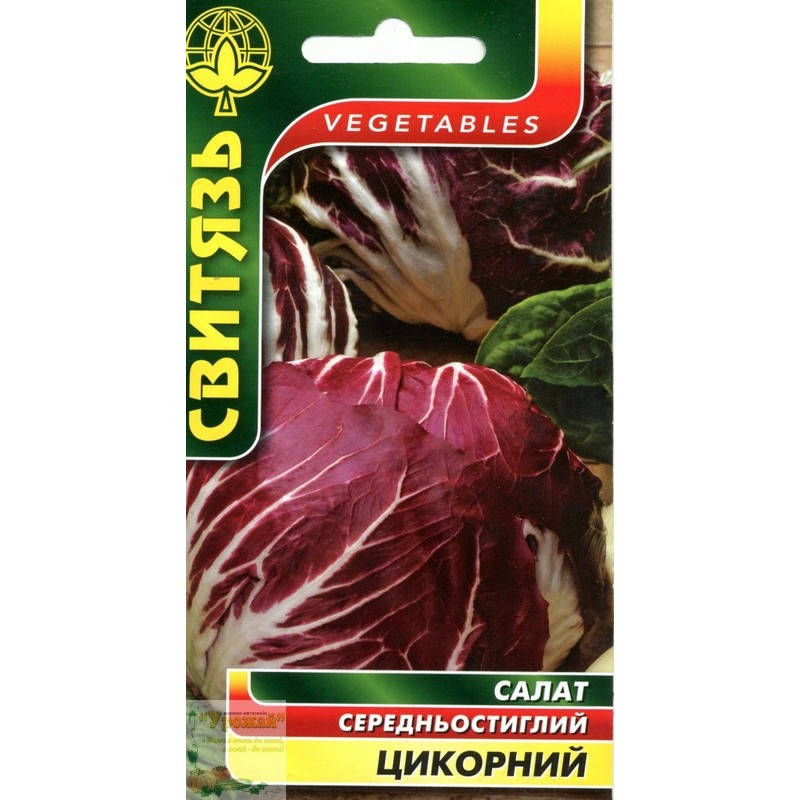 

Семена салат Цикорный, 0,5 г
