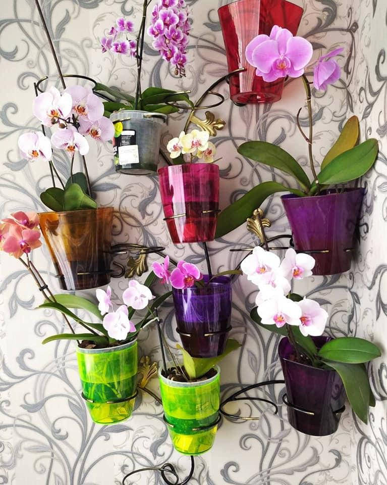 

Ветка-2, подставка для цветов на 15 колец