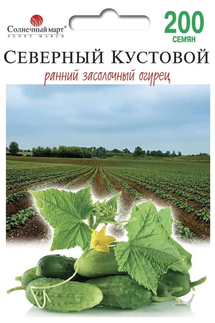

Огірок ранній бджолозапильний Северный кустовой 200шт Солнечный март