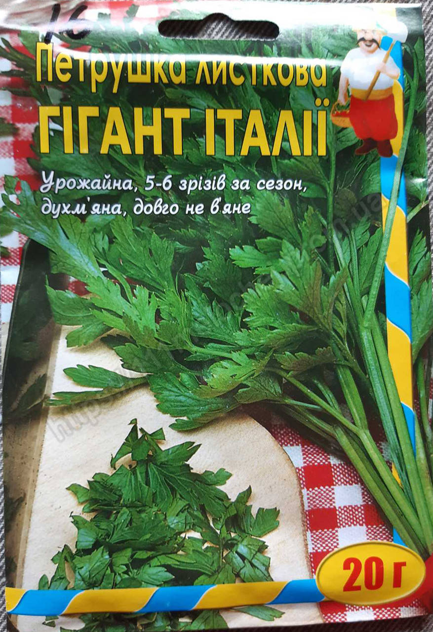 

Петрушка листовая Гигант Италии