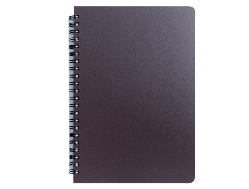 

Записная книга блокнот Buromax OFFICE LOGO2U A5 96 л клетка на пружине (BM.24551150-19)