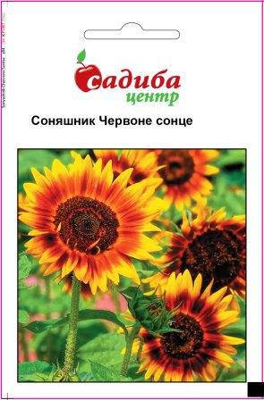 

Семена Подсолнечник Красное Солнце (1г) ТМ Садиба Центр, Красный