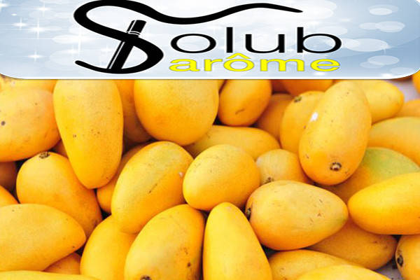 

Ароматизатор Solubarome Mango 5 мл.