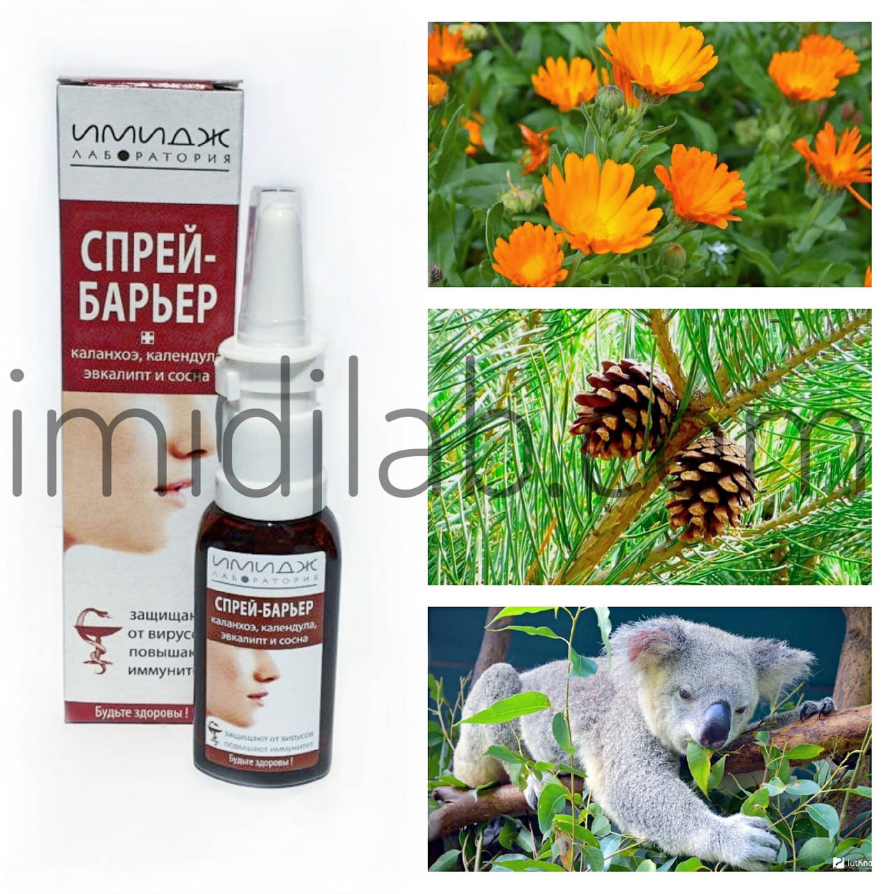 

Спрей-барьер. Официальный представитель "Имидж лаборатория"