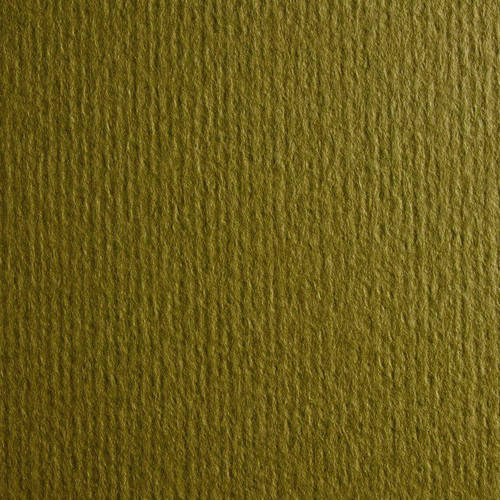 

Картон цветной для пастели Murillo 10 oliva 50х70 см 360 г/м.кв. Fabriano Италия