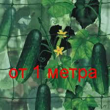 

Сетка для огурцов и цветов пластиковая на метраж 1,7 м ширина, Зелёный