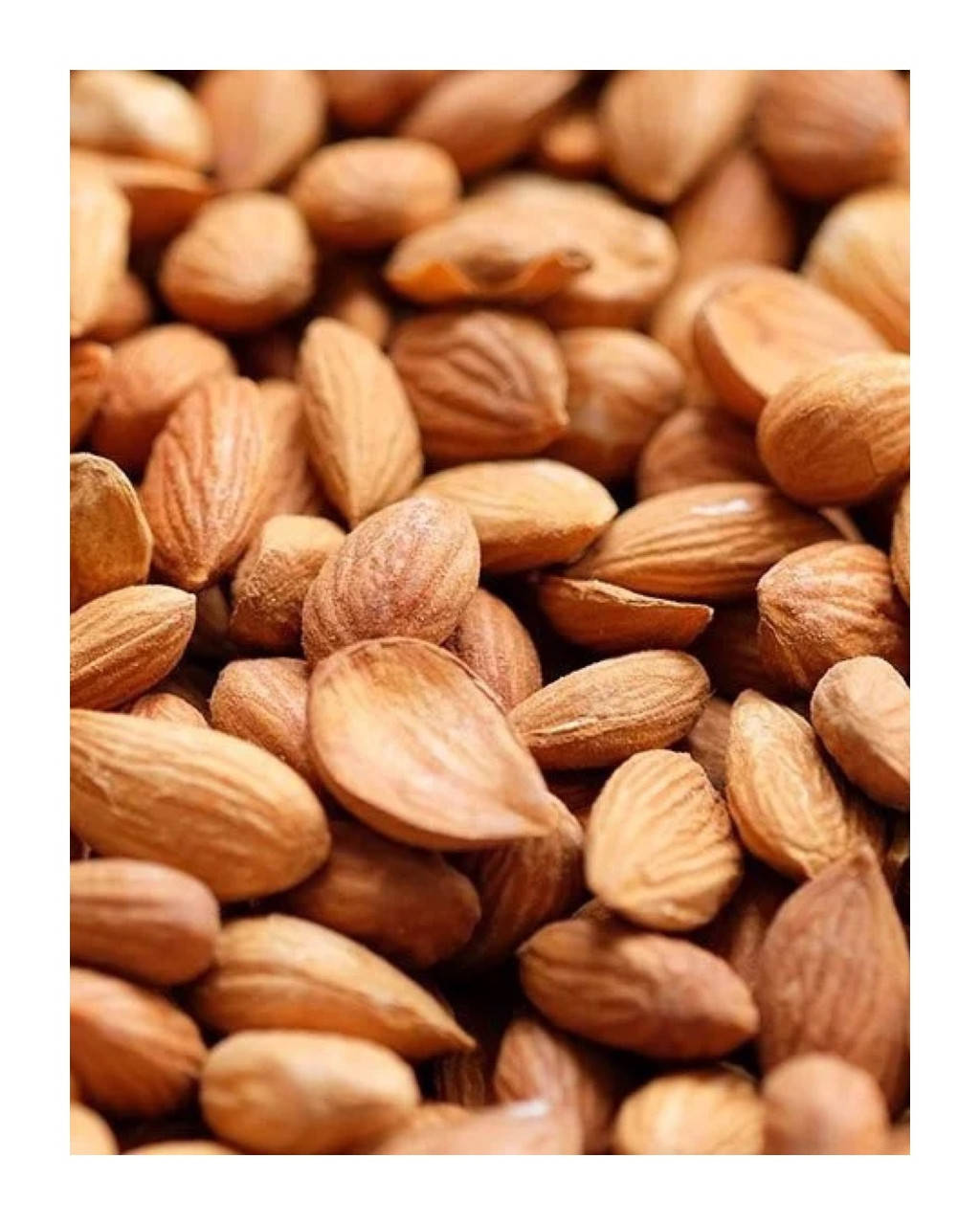 

Абрикосовая косточка крупная