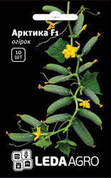 

Семена огурца Арктика F1 10шт ТМ LEDAAGRO