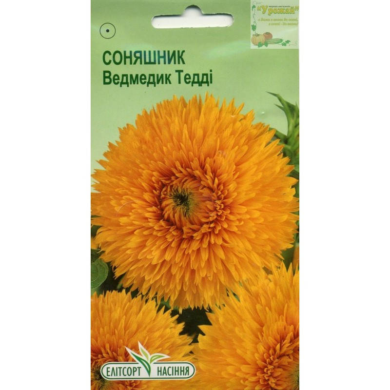 

Семена цветы Подсолнечник махровый Медвеженок Тедди, 1 г, Желтый