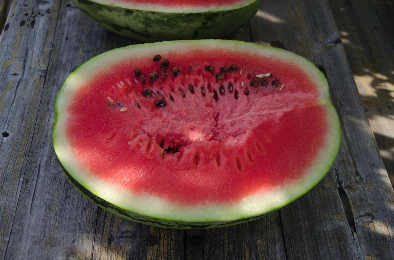 

Семена арбуза Бедуин F1 \ Bedouin F1 200 семян Bejo zaden