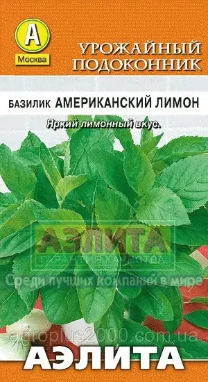 

Семена Базилик зеленый Американский лимон 0,3 грамма Аэлита