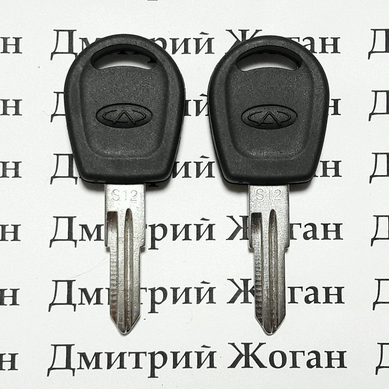 

Корпус авто ключа под чип для Chery (Чери) (S12)