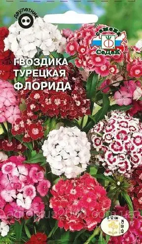 

Семена Гвоздика турецкая Флорида смесь 0,5 грамма Седек, Разные цвета