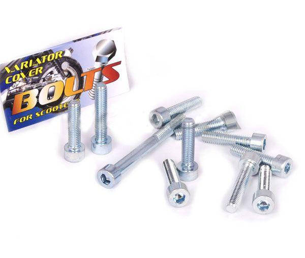

Болты крышки вариатора Yamaha JOG (шестигранный шлиц, 11шт) "AS"