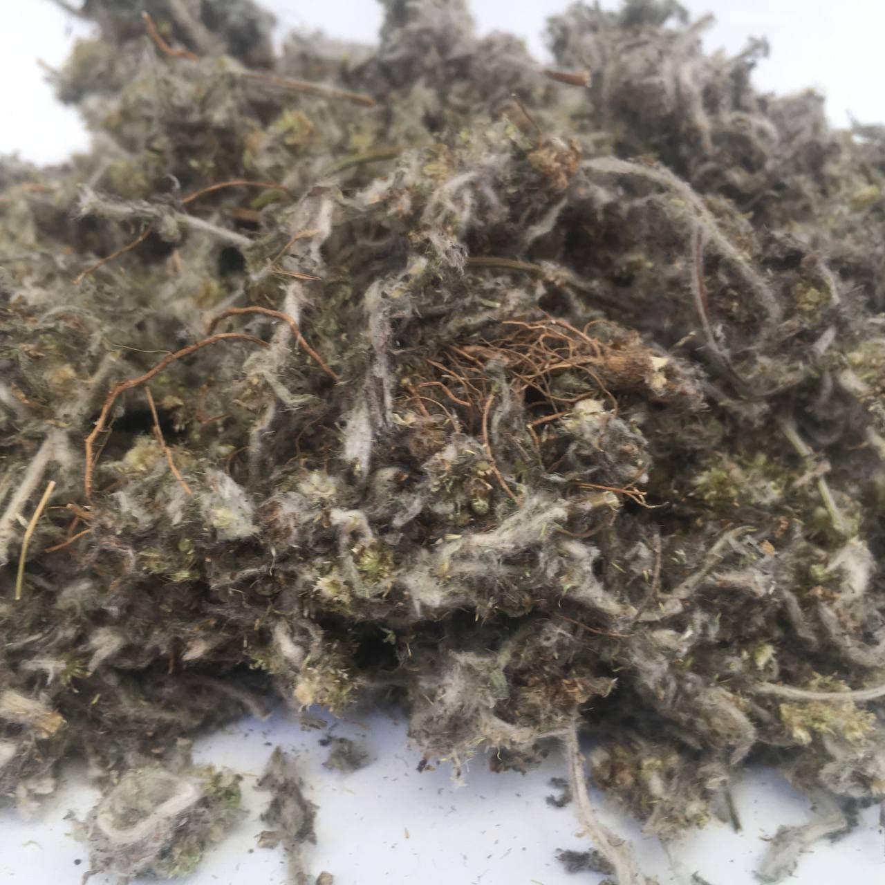 

Сушеница болотная (трава) 50 гр