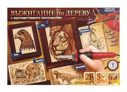 

Набор для выжигания по дереву Danko Toys паяльник + 5 заготовок (рус) WD-01-02