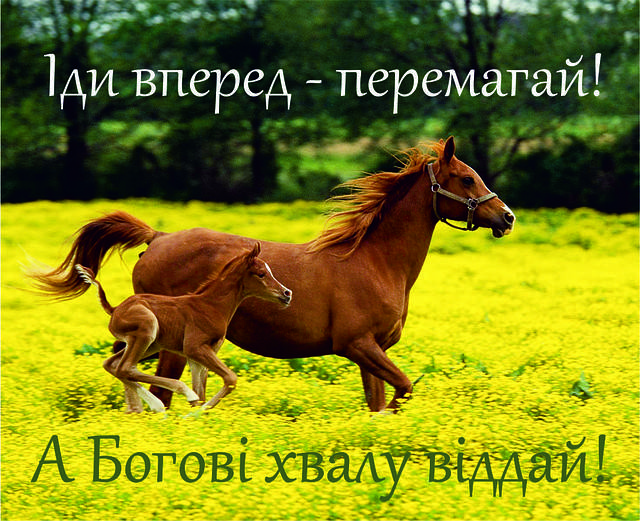 

Міні-листівка: Іди вперед - перемагай! А Богові хвалу віддай! # 120