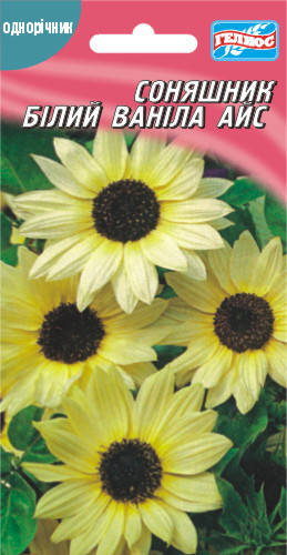 

Подсолнух белый Ванила айс 10 шт.