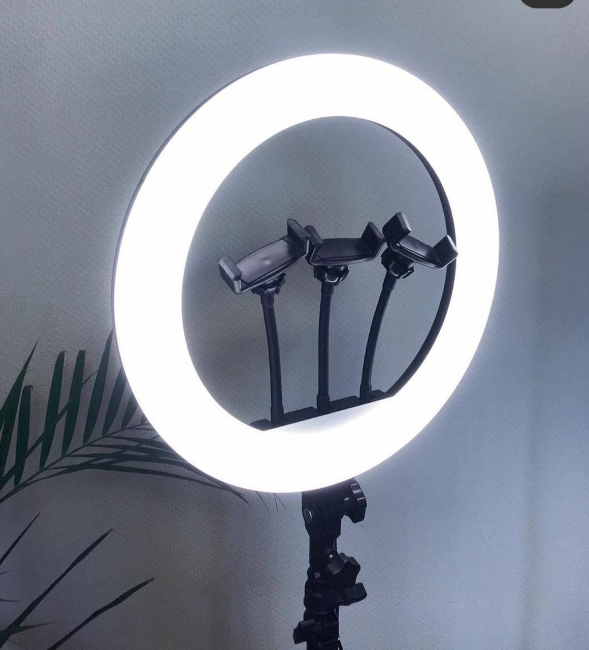 

Кольцевая LED лампа с пультом ДУ и 3 держателями для телефона (50см) + штатив