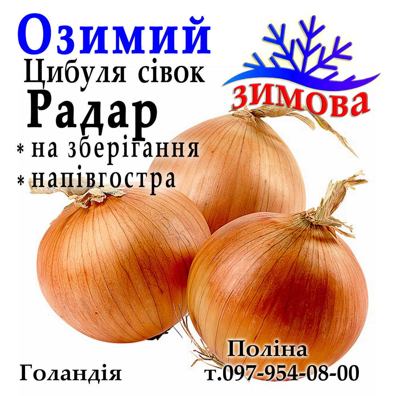 

Лук севок озимый Радар (Radar), Broer Голландия, 1 кг