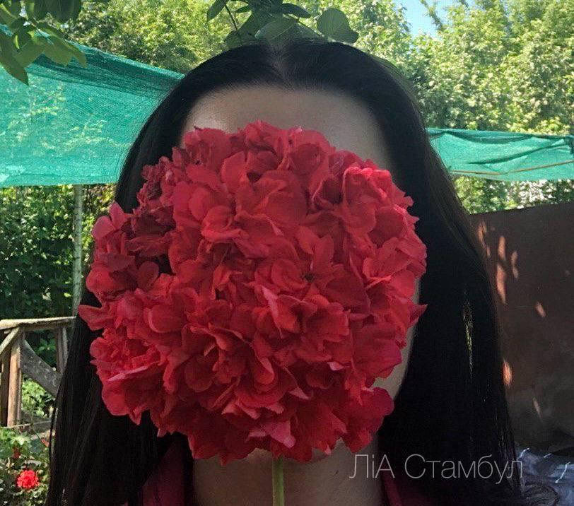 

ЛіА Стамбул (382с)
