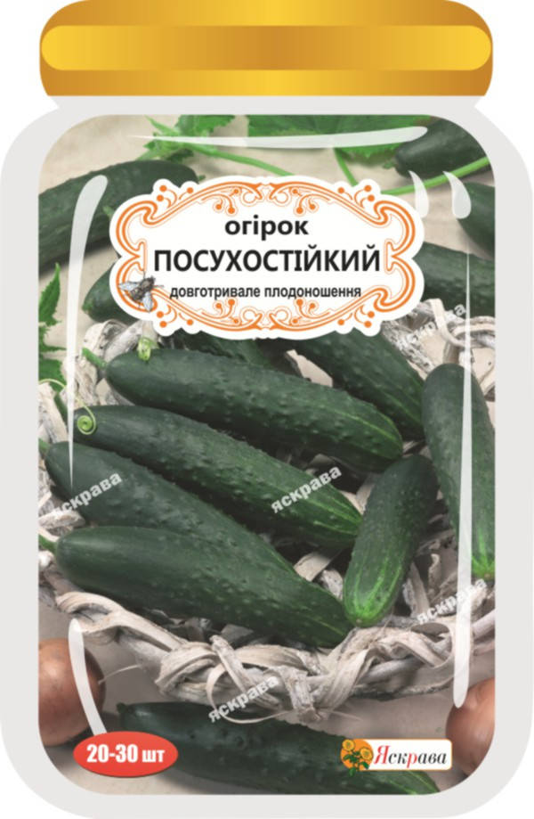 

Огурец Засухоустойчивый (20-30 шт.) дражированные семена Яскрава