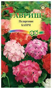 

Семена Пеларгония зональная Капри Смесь 4 сем. Гавриш, Оранжевый