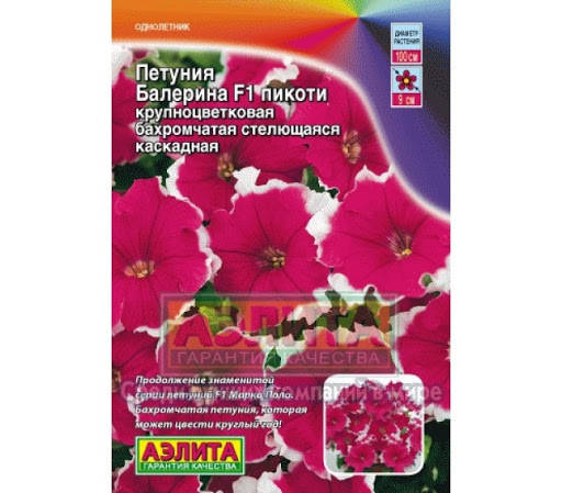 

Семена Петуния крупноцветковая стелющаяся каскадная Балерина F1 Пикоти 7 семян Аэлита, Малиновый