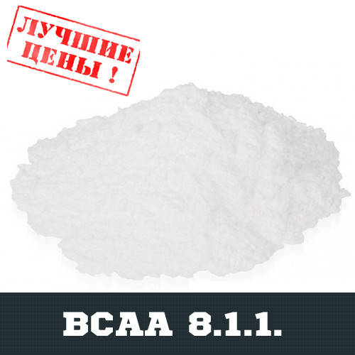 

BCAA 8:1:1, 100г