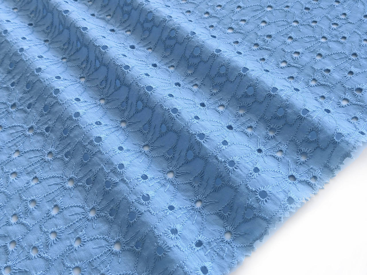 

Прошва ромашка, голубой