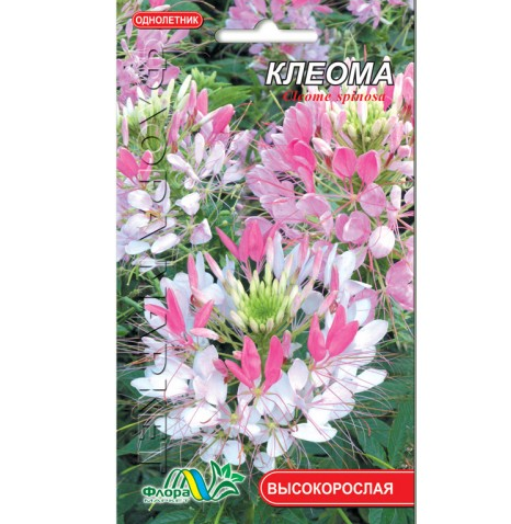

Клеома смесь цветы однолетние, семена 0.1 г