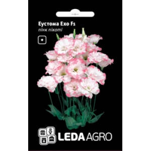 

Семена Эустома Эхо пинк пикоти F1, 5 семян Sakata LedaAgro, Розовый