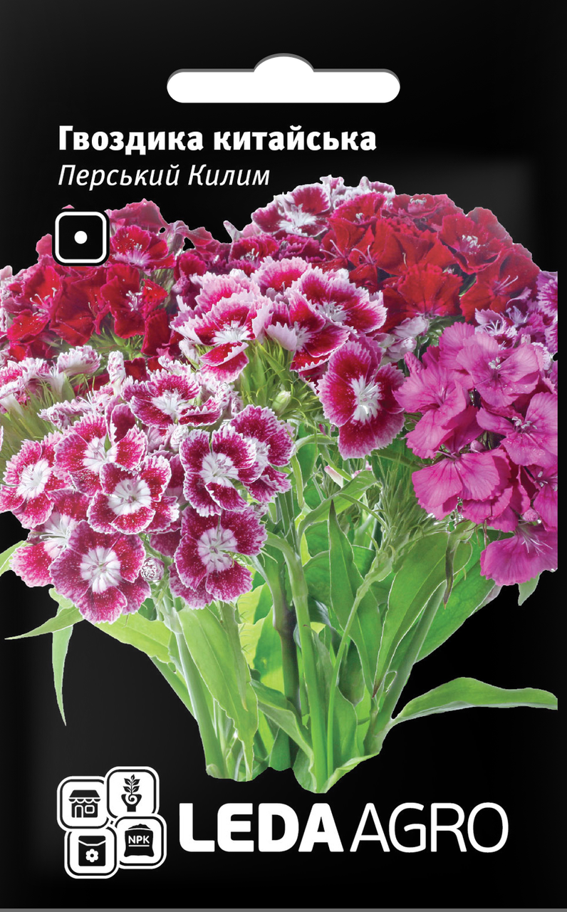 

Семена Гвоздика китайская Перский ковер 0,1г LEDAAGRO