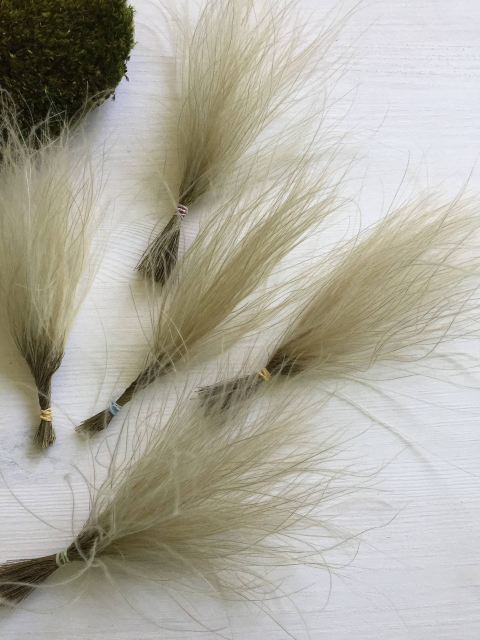 

Ковыль натуральный (250+)