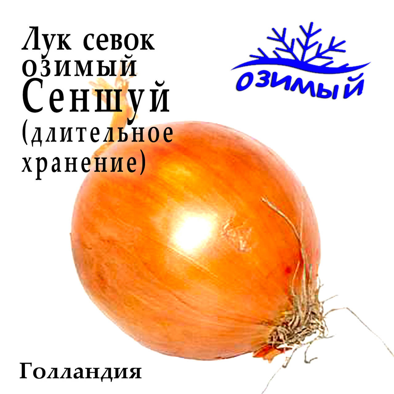 

Лук севок озимый Сеншуй (Senshuy), Голландия, 1 кг