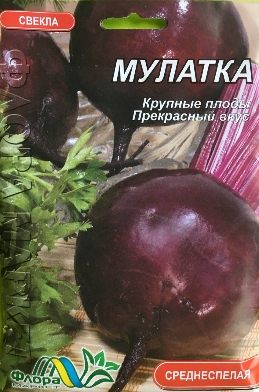 

Семена свекла Мулатка Флора маркет 10г.