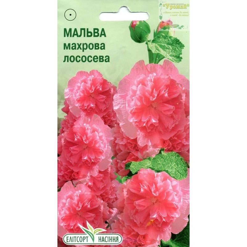 

Семена цветы Мальва махровая лососевая, 10 семян