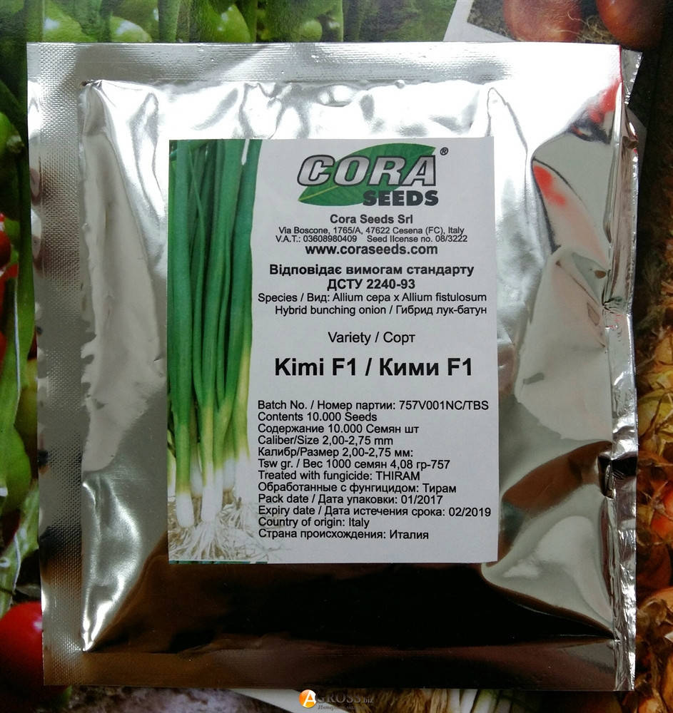 

Семена лука на перо Кими F1 \ Kimi F1 10 000 семян Cora seeds