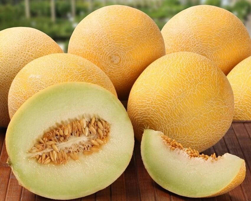 

Дыня Колхозница 2 г