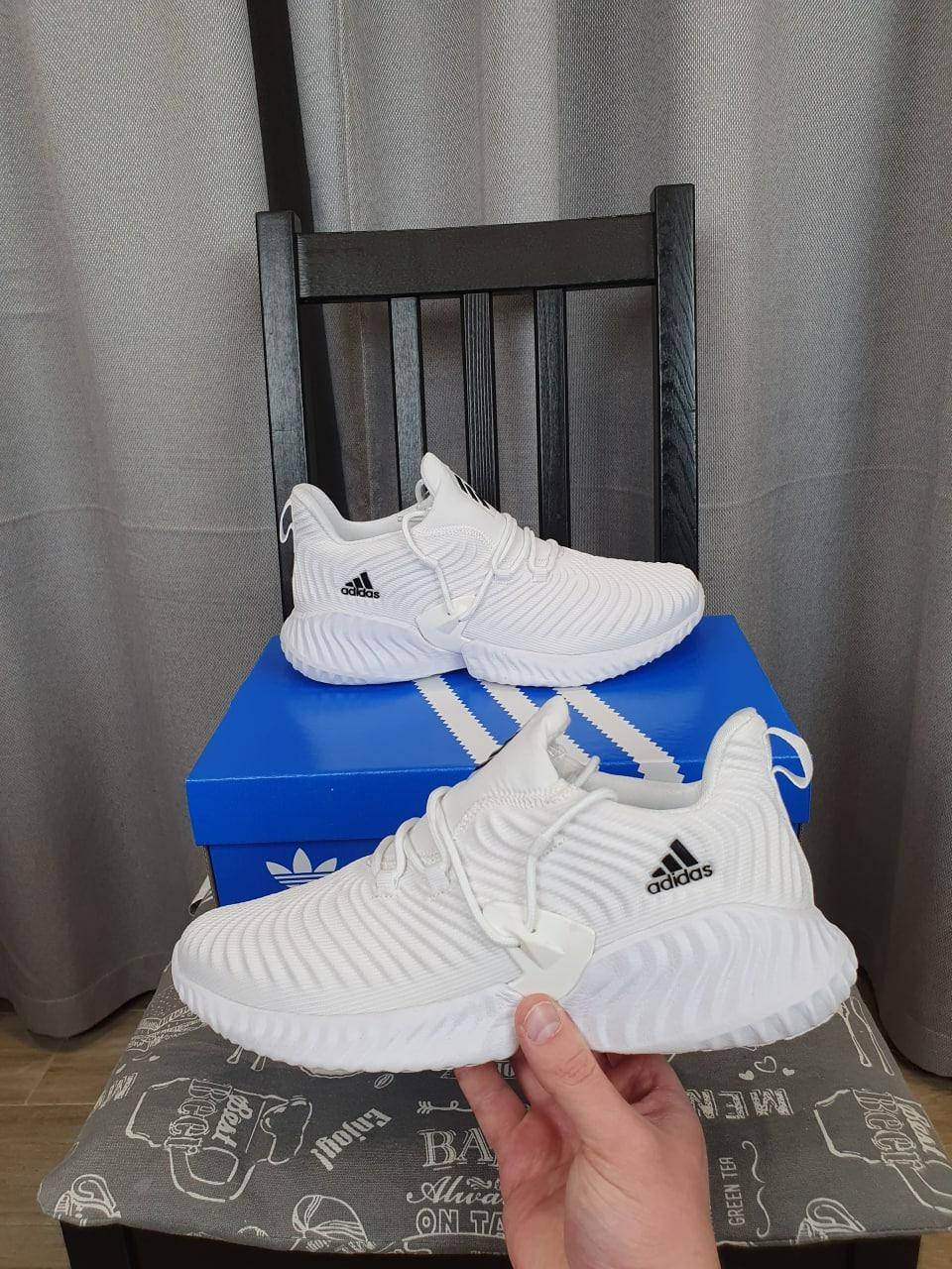 

Мужские кроссовки Адидас белые. Обувь мужская Adidas Alphabounce White Black Кроссы Адидас демисезон, Белый