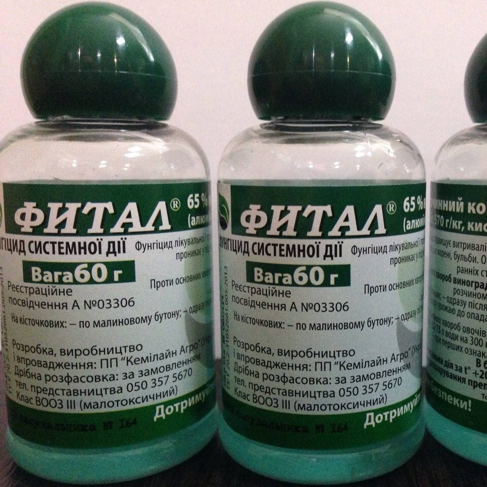 

Фунгицид ФИТАЛ Кемилайн Агро 50 г