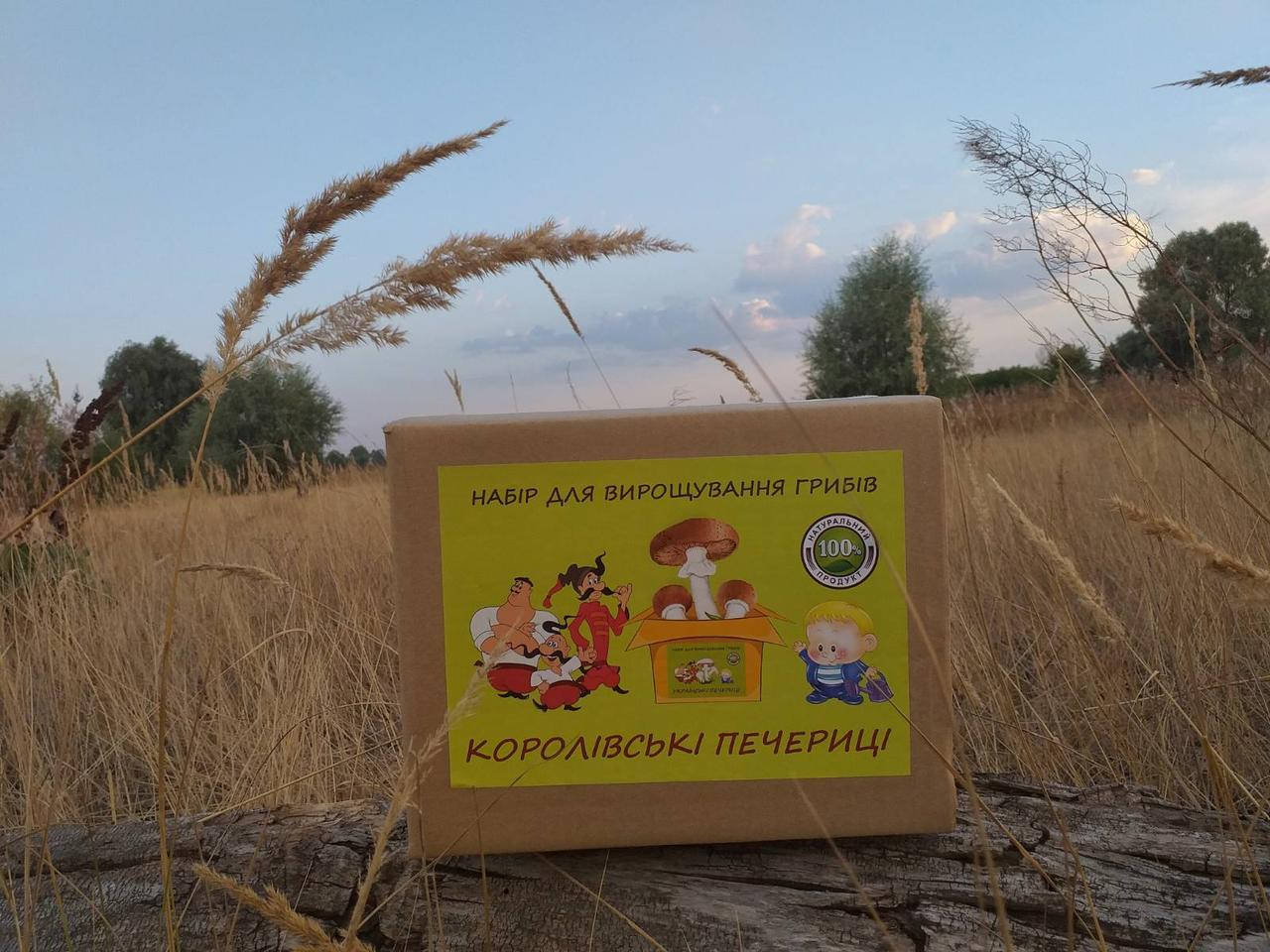 

Грибная коробка для выращивания королевских шампиньонов 3 в 1