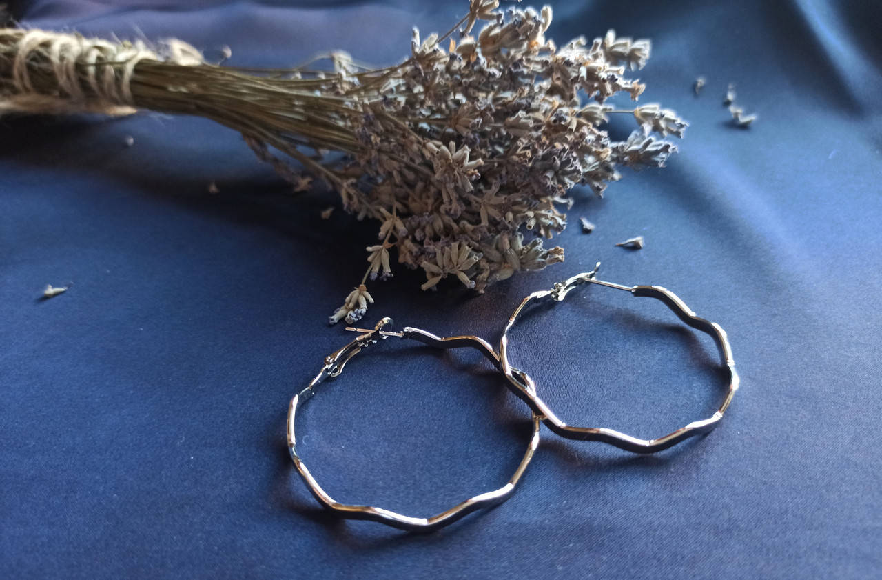 

Сережки гвоздики "круги" диаметр 4.5 см.