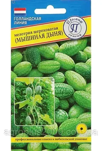 

Семена Мелотрия шероховатая Мышиная Дыня 10 семян Престиж