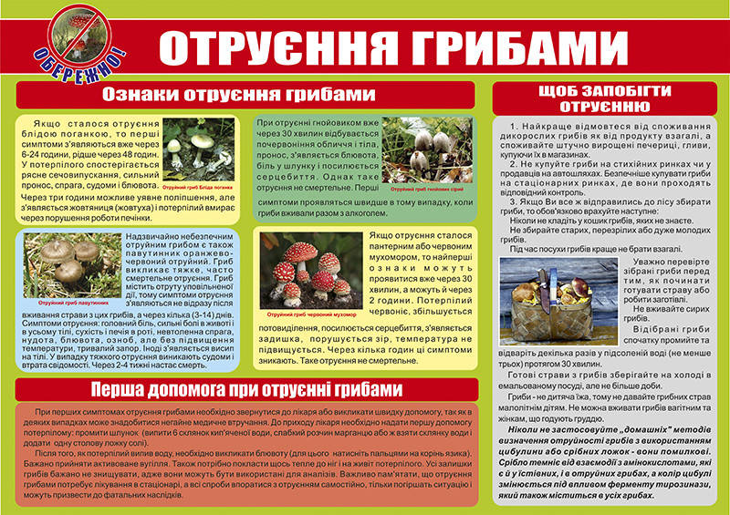 

Санбюлетень "Отруєння грибами"