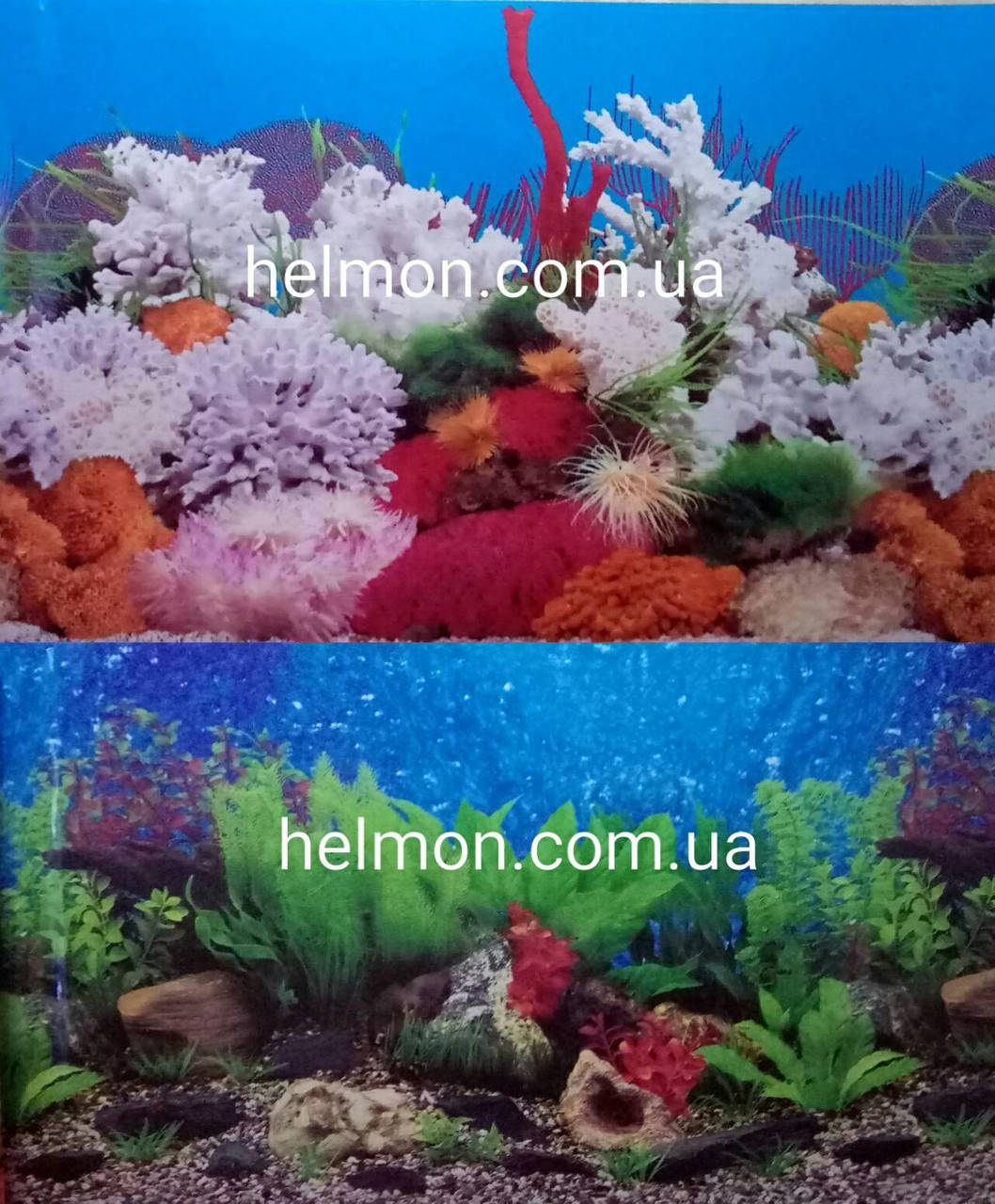 

Фон для аквариума двусторонний растения/кораллы , высота 30 см, 9019/9029
