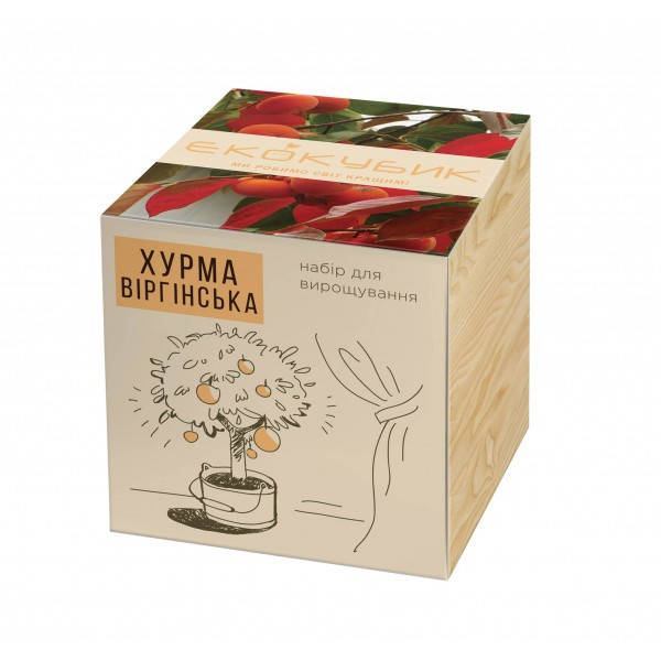 

Набір для вирощування Екокуб хурма